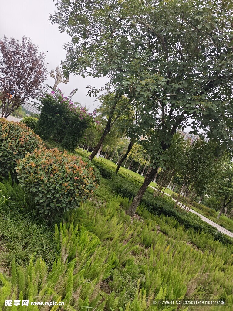 綠意盎然的公園景致