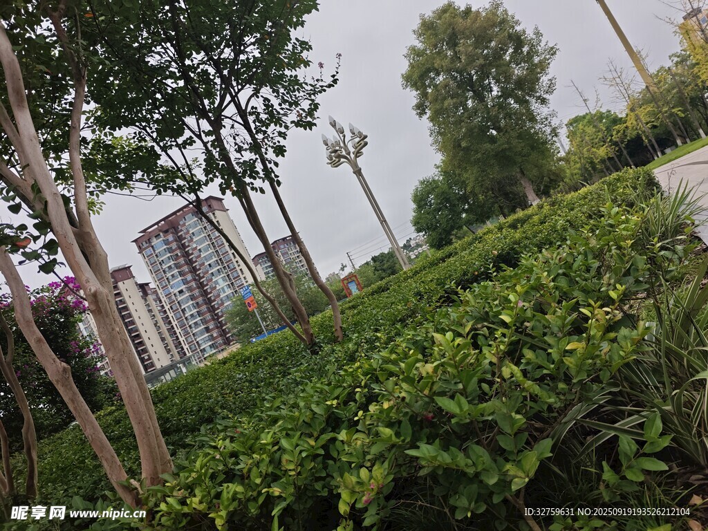 城市中的綠植景觀