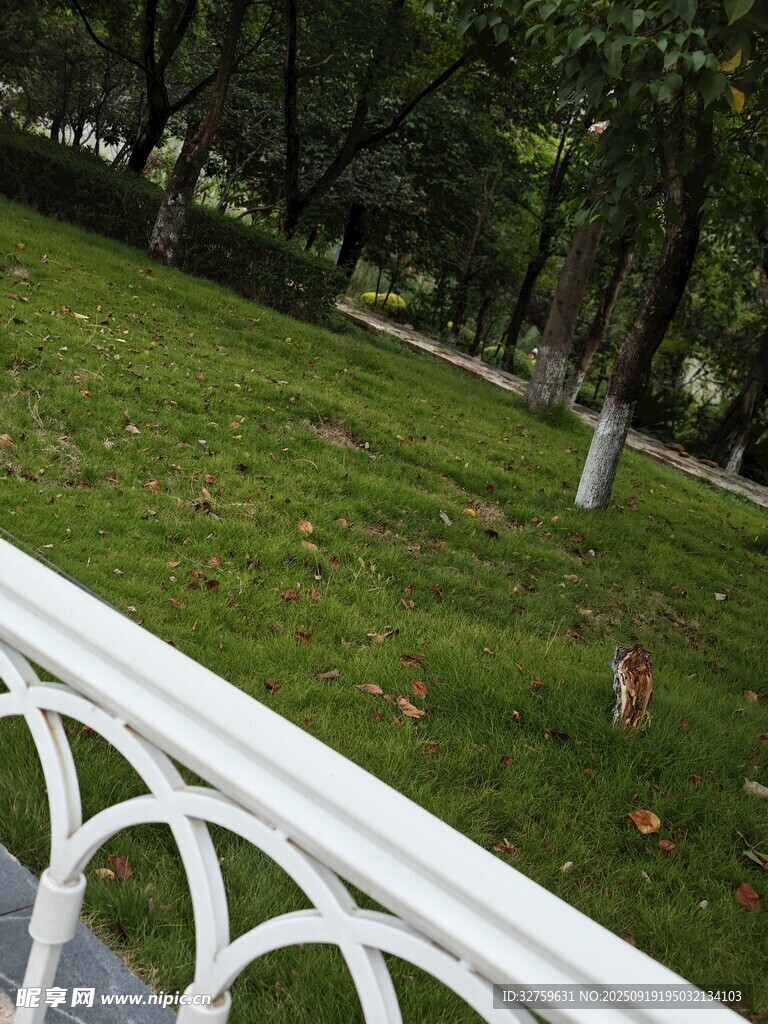 公園草地旁的白色欄桿景致