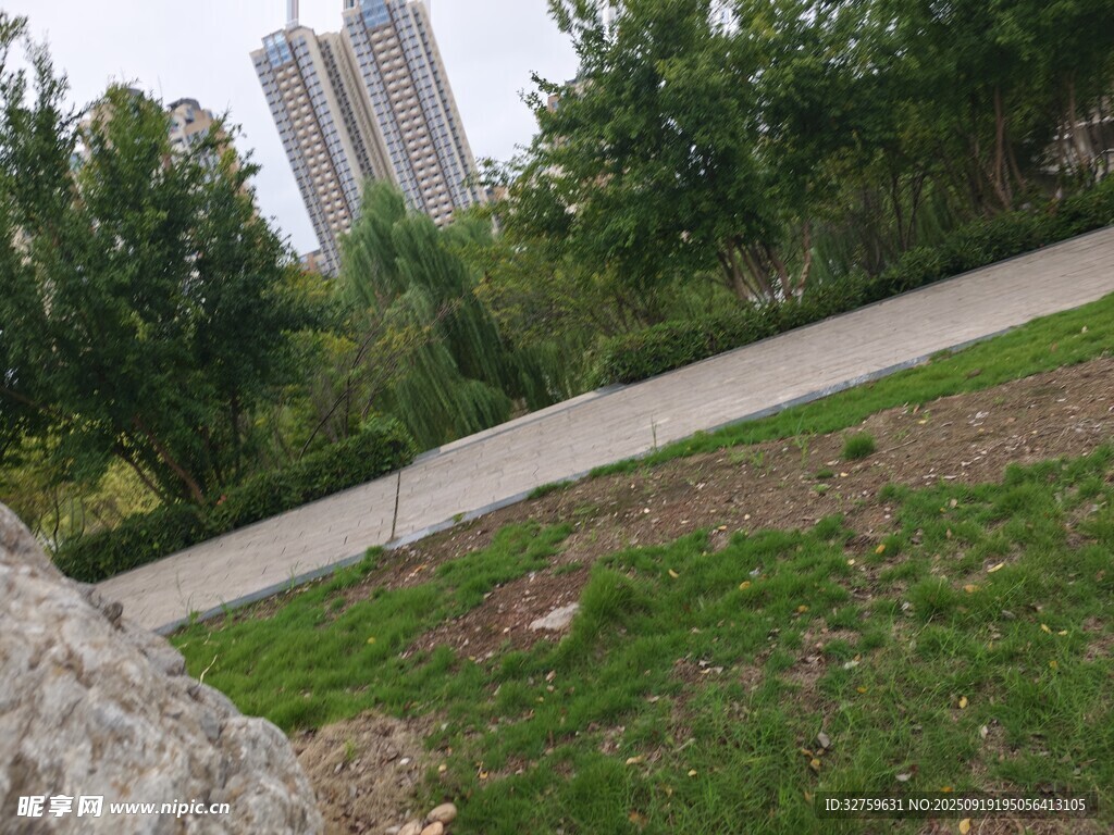 城市草地旁的綠樹與高樓
