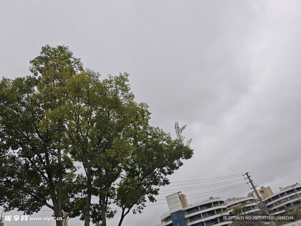 陰天里的綠樹與建筑物