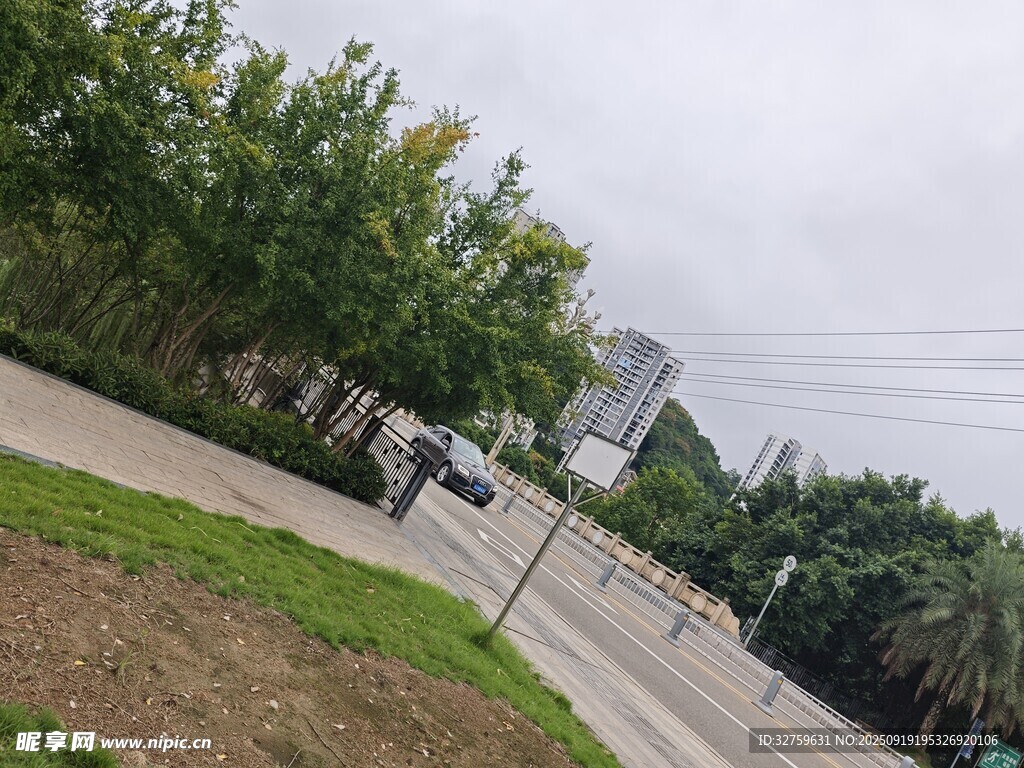 城市道路旁的綠植景觀
