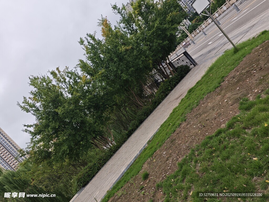 城市路邊綠植景觀