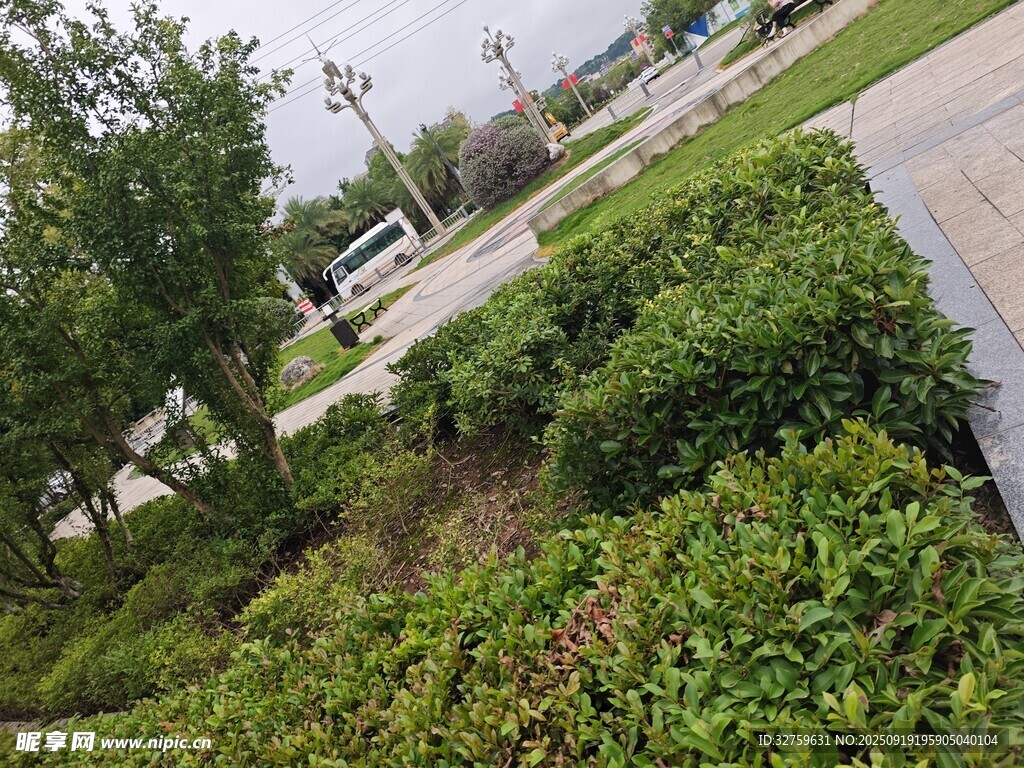 路邊綠植景觀