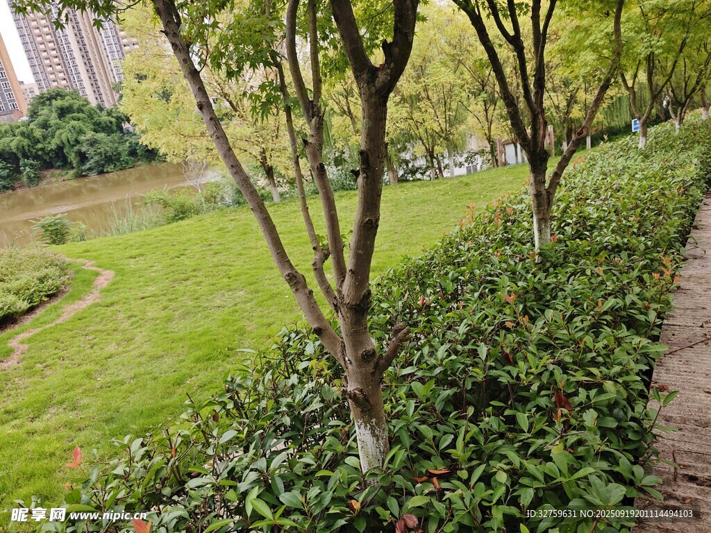 小區(qū)內(nèi)綠意盎然的景觀小徑