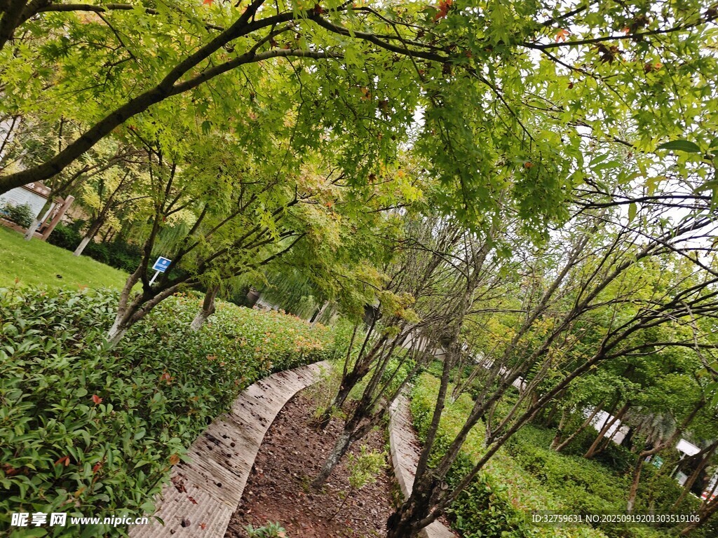 林間小徑