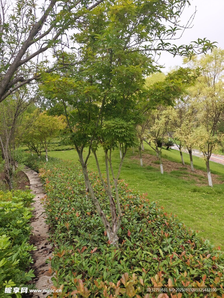 綠意盎然的公園景觀
