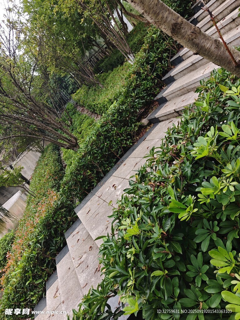 城市綠植景觀步道