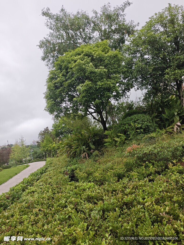 山間綠意盎然的小路