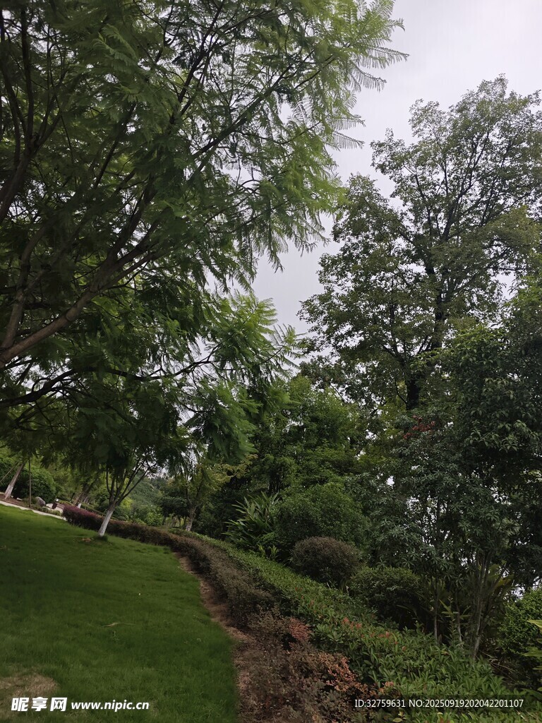 綠意盎然的戶外園林景觀