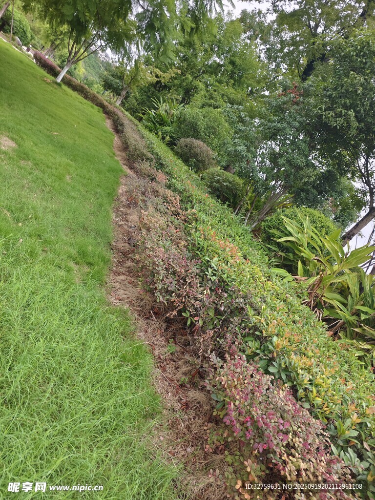 山坡綠植景觀