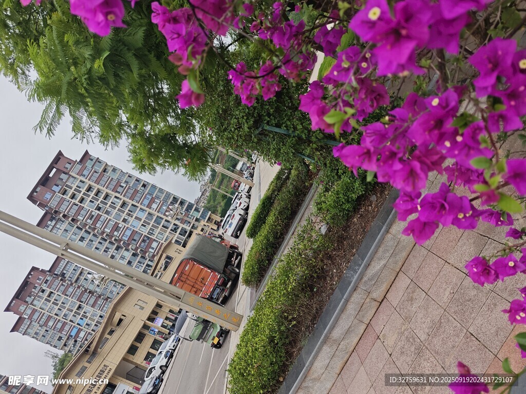 繁花簇擁下的城市建筑景觀