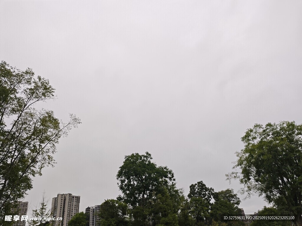 陰天中的樹木與遠(yuǎn)處建筑