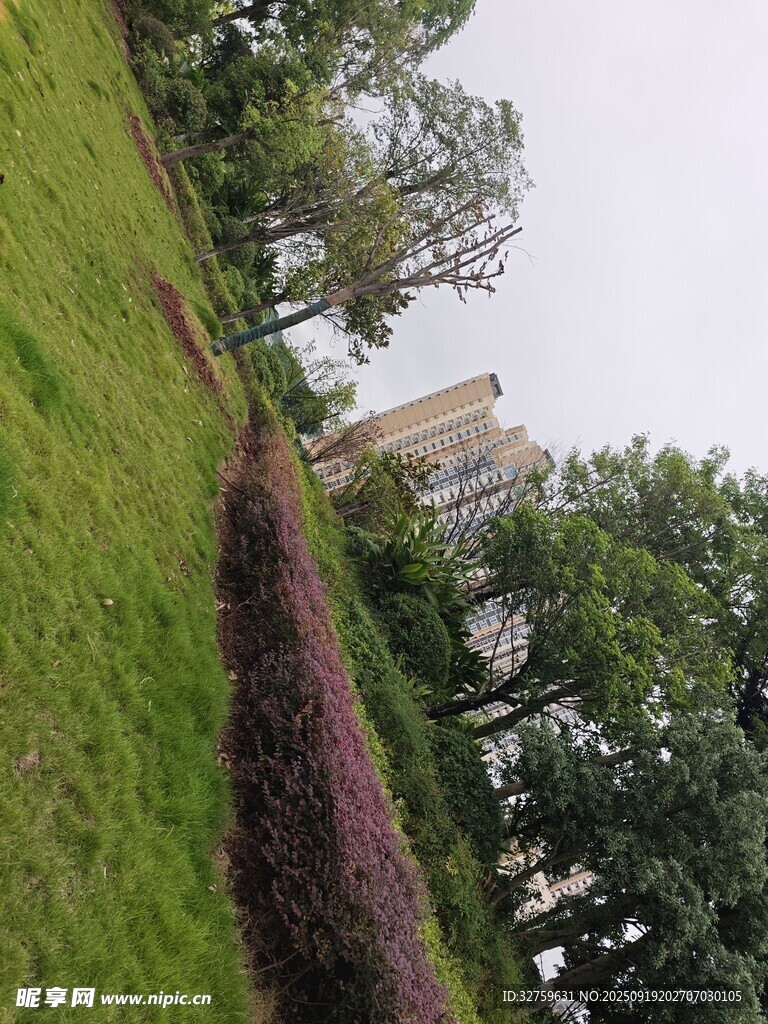 城市綠地景觀