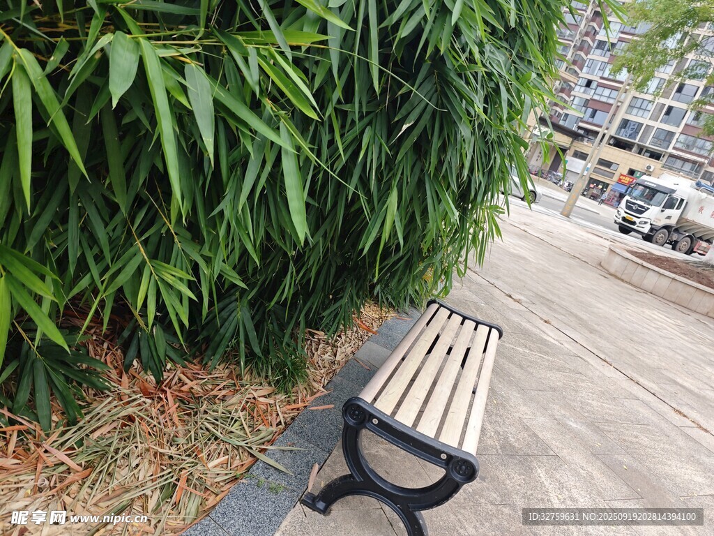 路邊長椅旁的蔥郁綠植