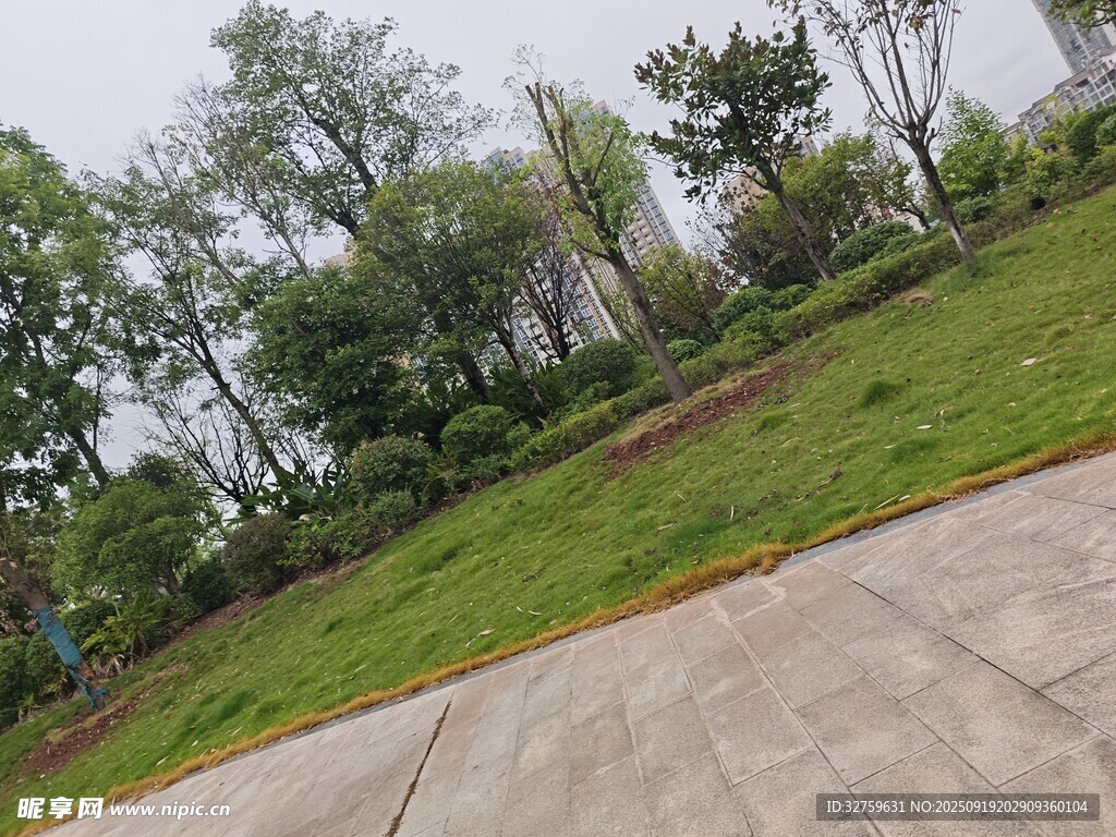 戶外綠地旁的水泥路面