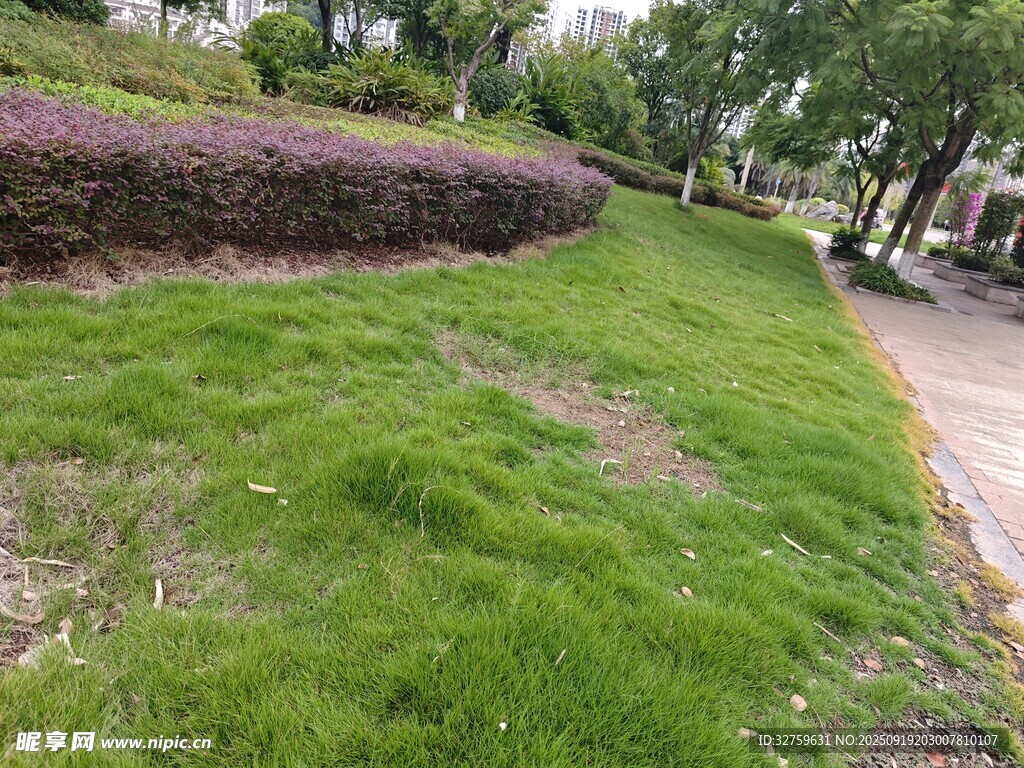 城市中的綠意草坪景觀