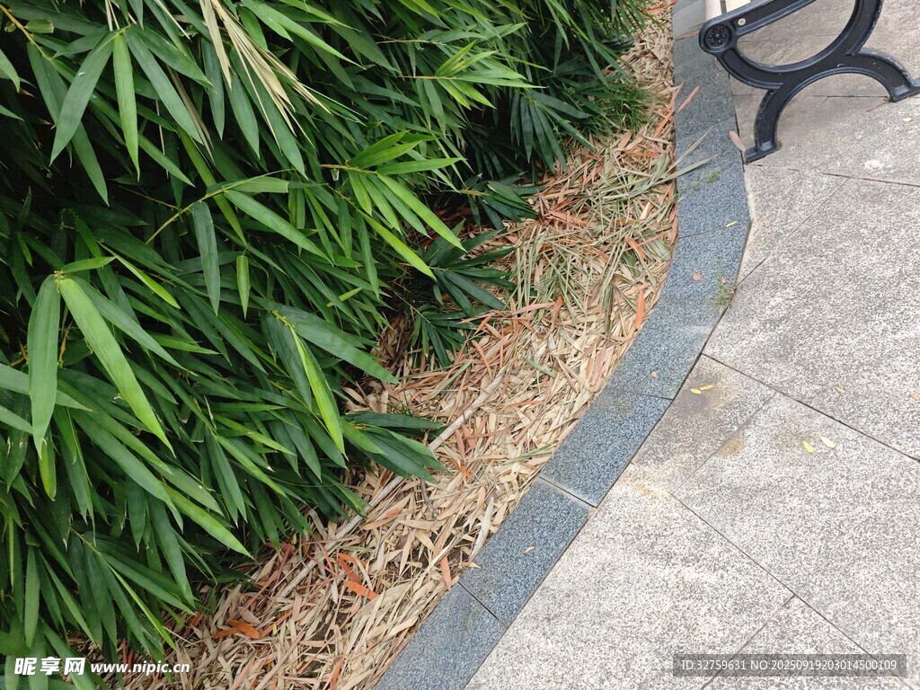 路邊綠植與灰色邊緣景觀