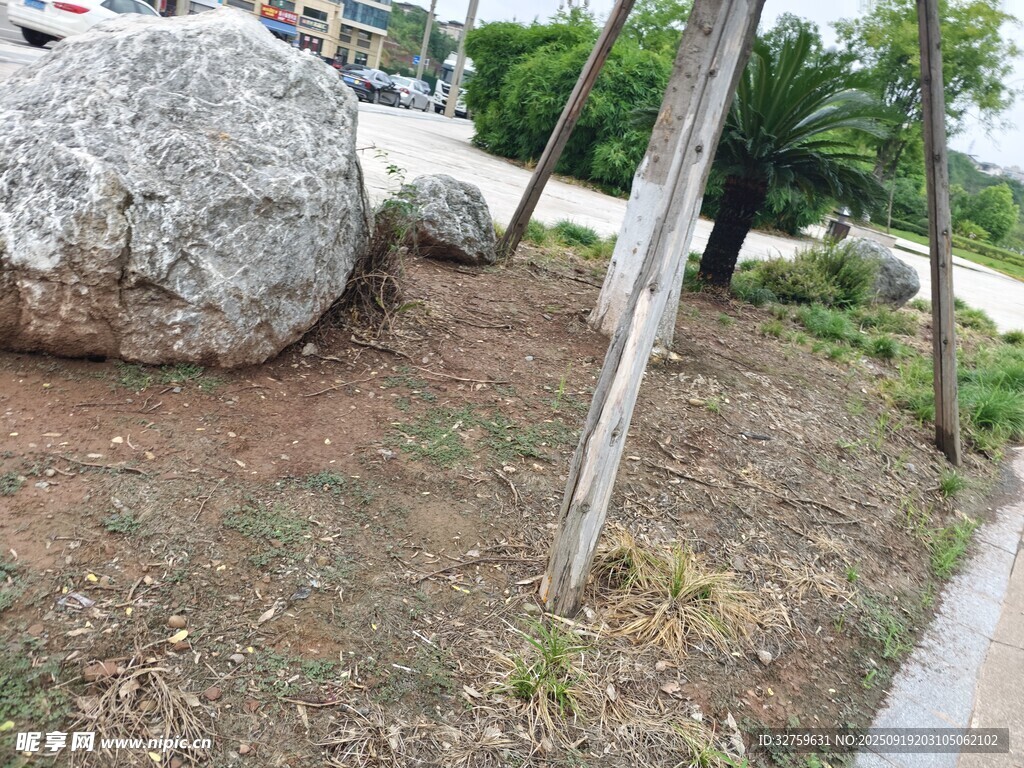 路邊巨石與綠植景觀