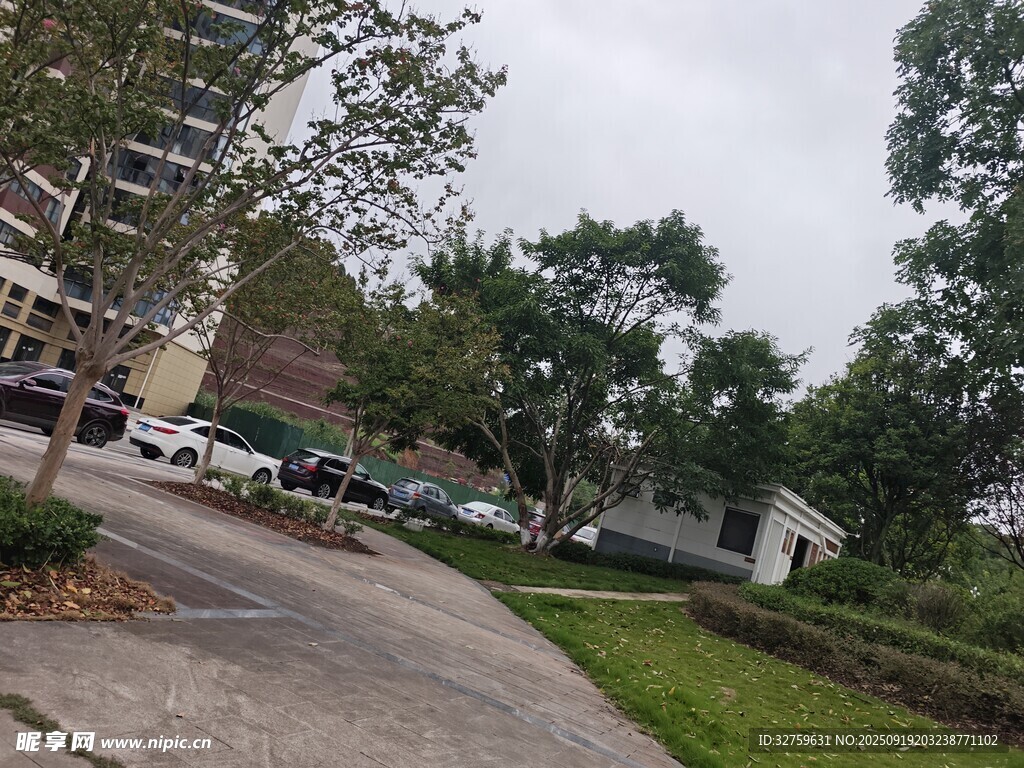 小區(qū)內的道路與綠化景觀