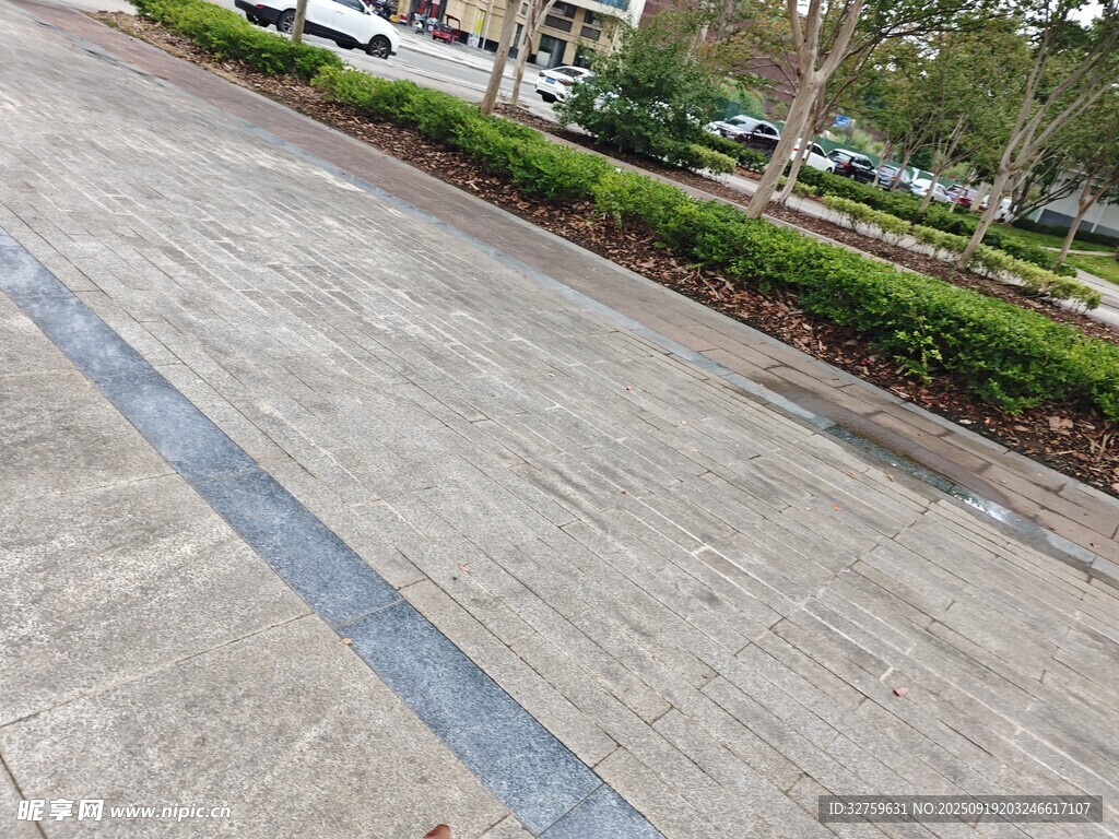 戶外水泥路面及綠化景觀