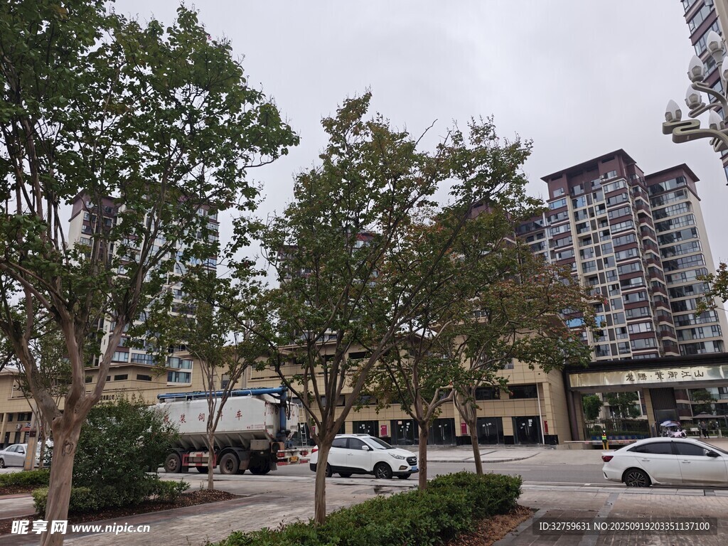 城市街道邊的樹(shù)木與建筑