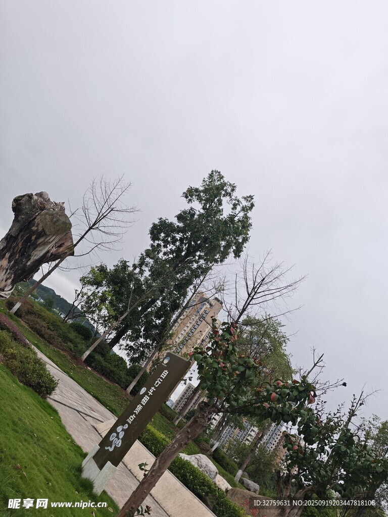 戶外綠化景觀場(chǎng)景