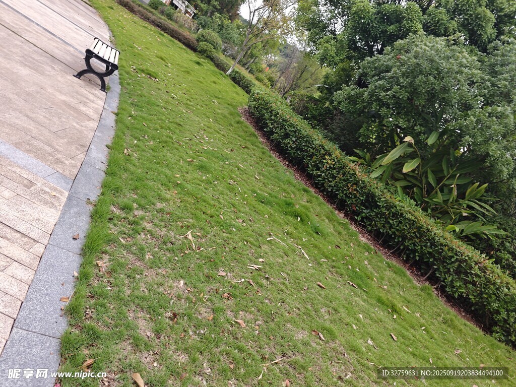 公園草坪旁的整潔步道