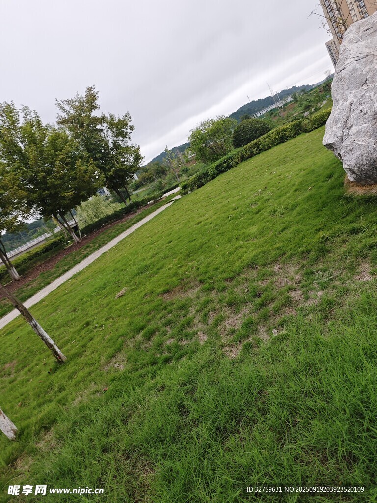 戶外草地與樹木景觀