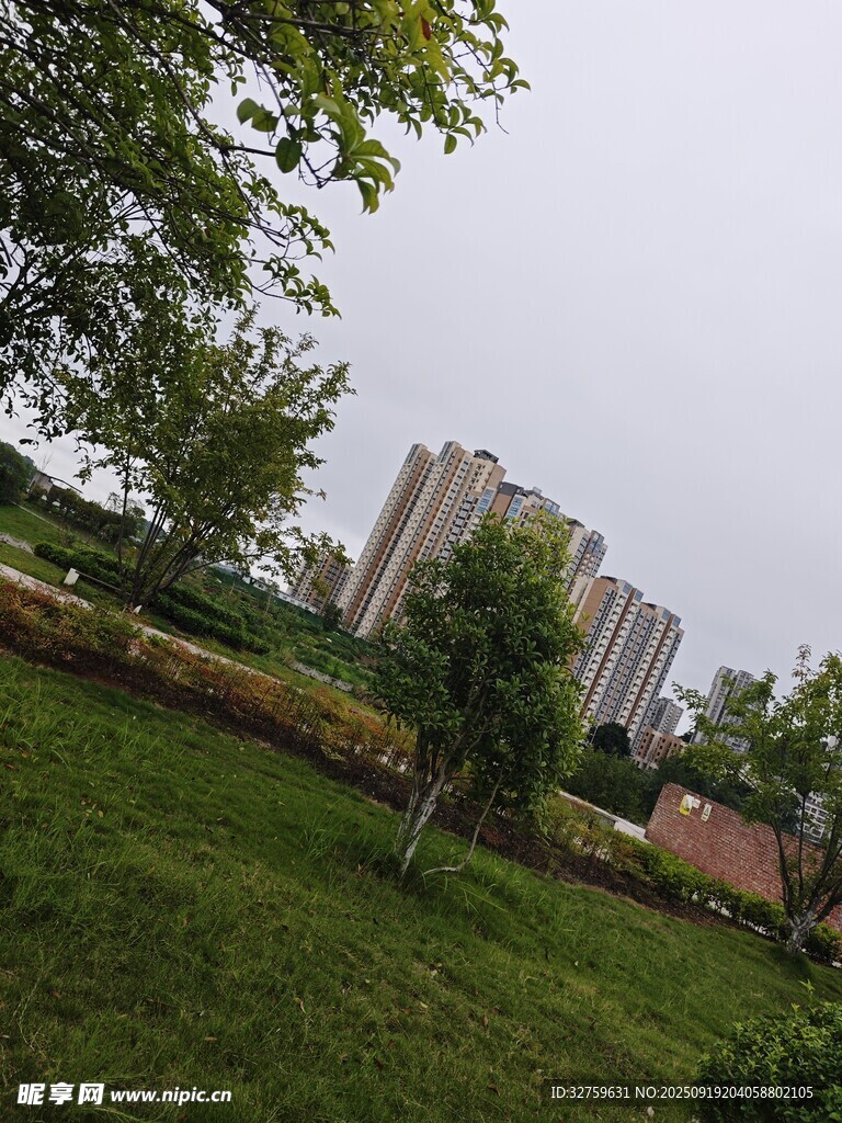 城市中的綠意公園景致