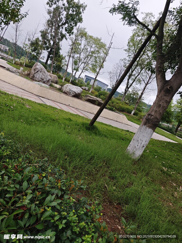 公園草地樹木景觀