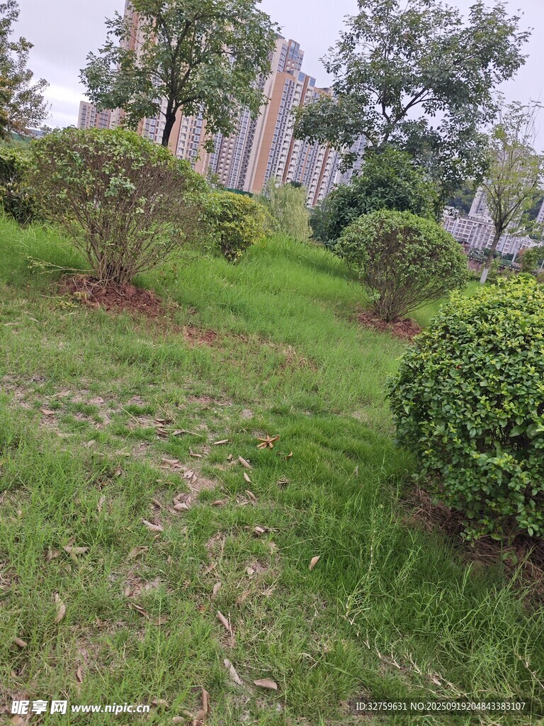戶外綠意盎然的草坪景觀