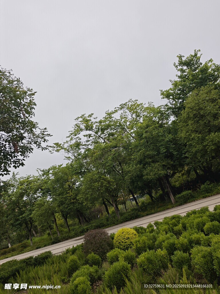 綠意盎然的戶外風景