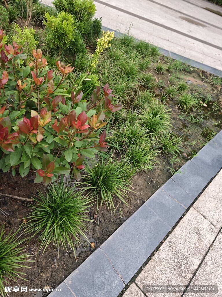 路邊多彩綠植景觀