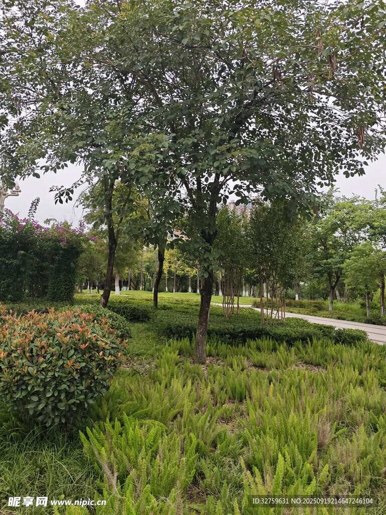 綠意盎然的公園景觀