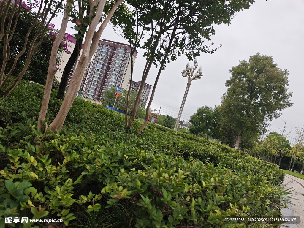 城市綠植景觀