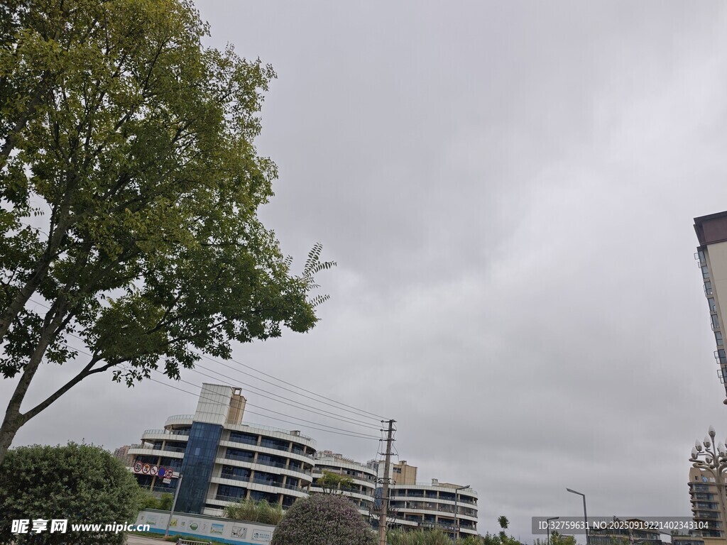 城市建筑旁的綠樹與天空