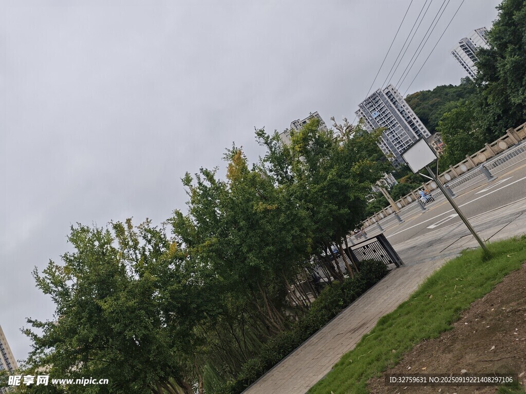 路邊綠樹與行人場景