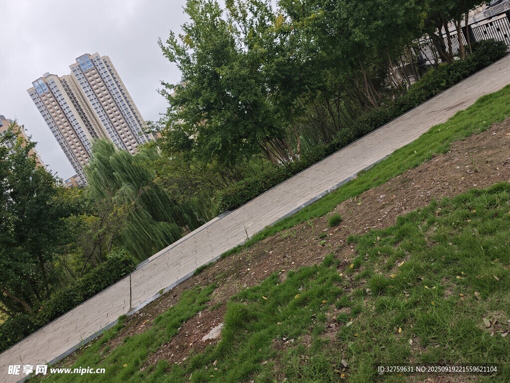 城市中蜿蜒的草地小徑