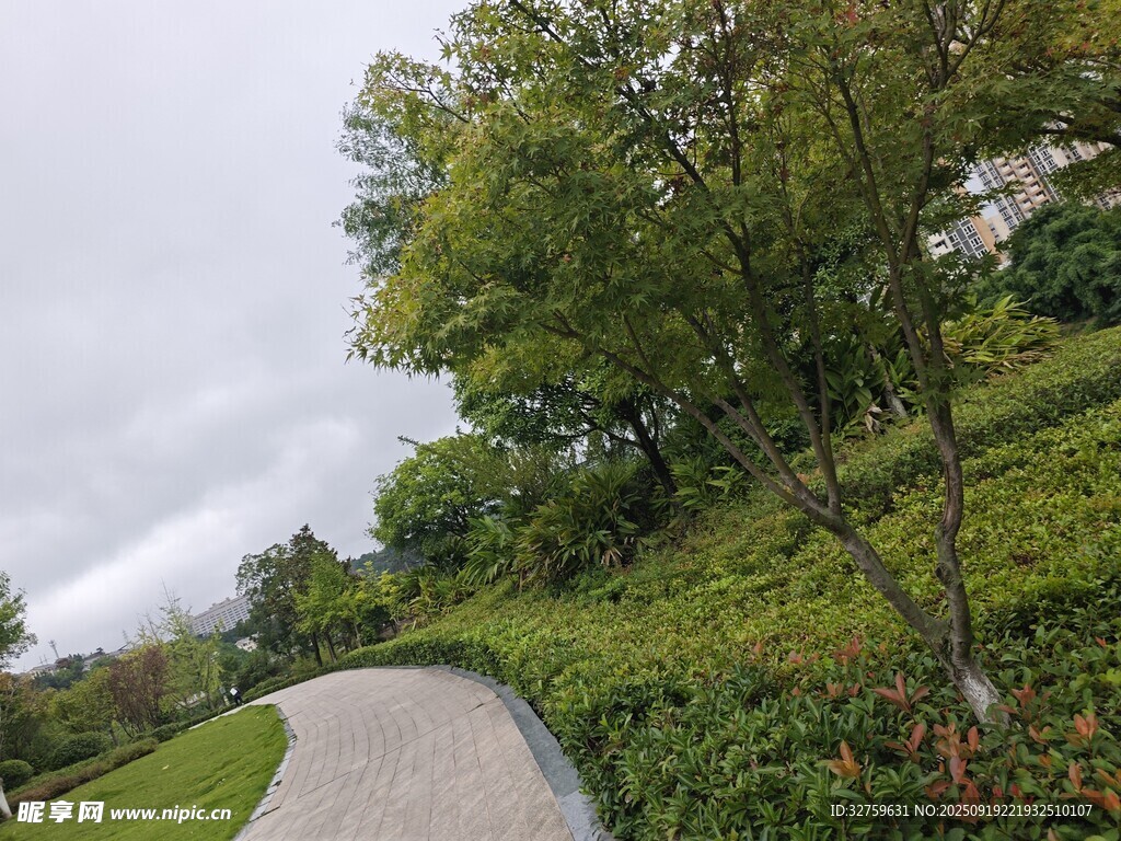 蜿蜒小徑旁的綠植景觀
