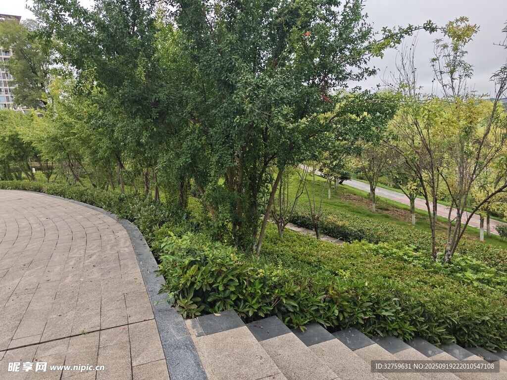 城市小徑旁的綠植景觀