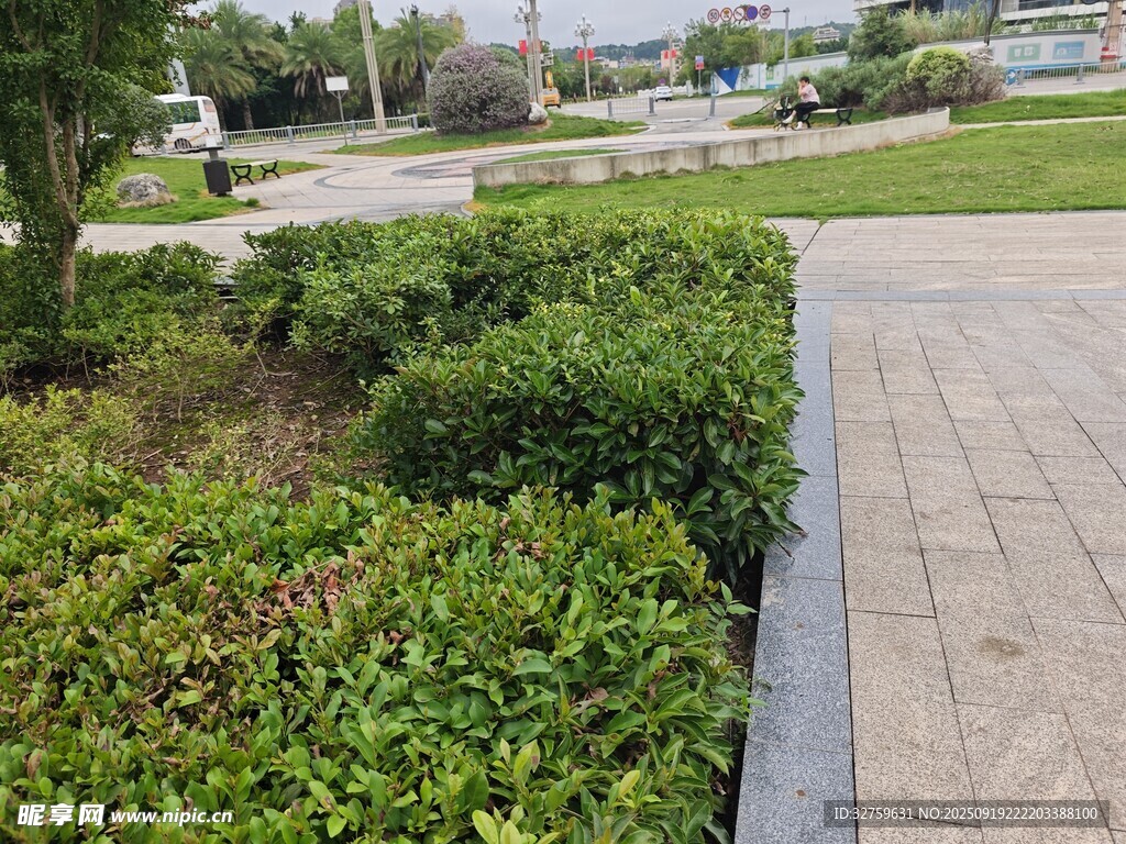 庭院綠植與磚石步道景觀