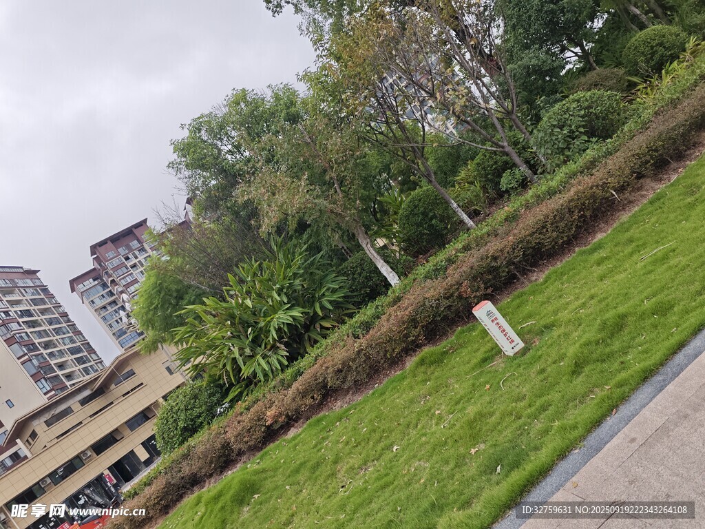 城市路邊綠植景觀(guān)