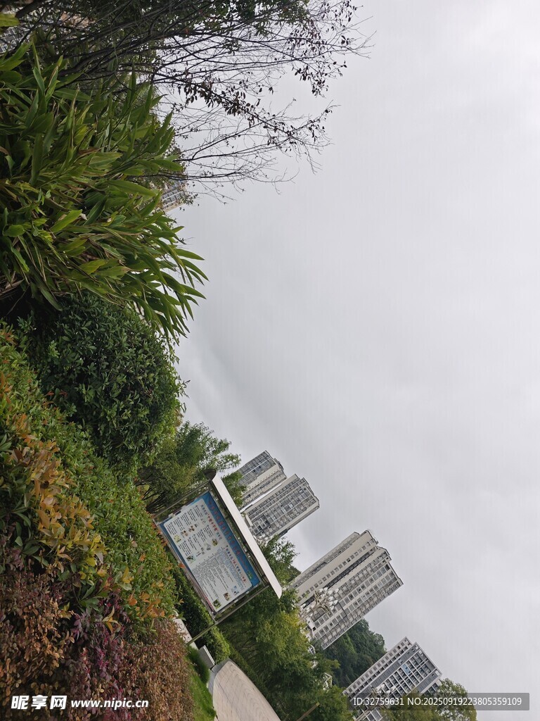 城市綠植旁的現(xiàn)代建筑