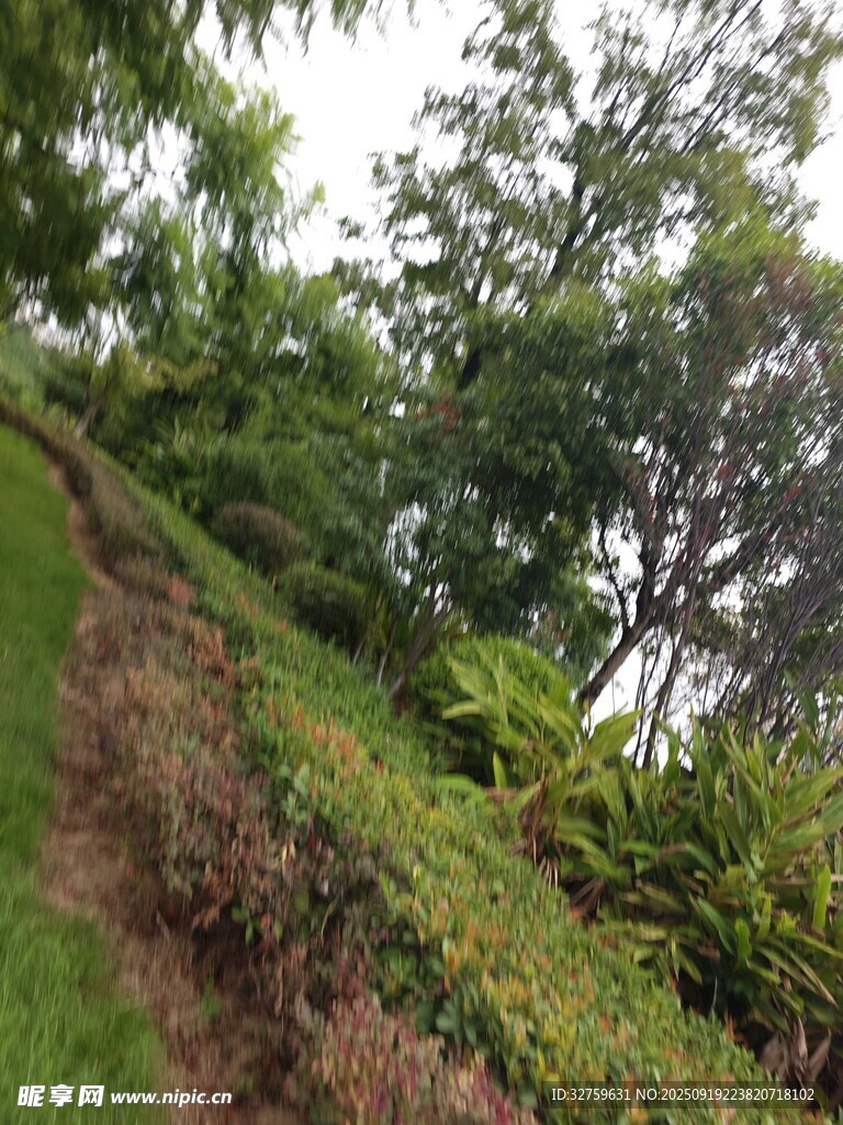 山坡綠植景觀