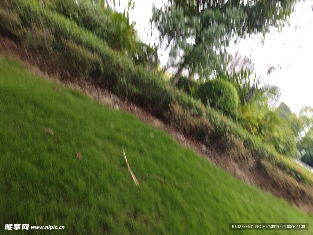 綠意盎然的草地與植被