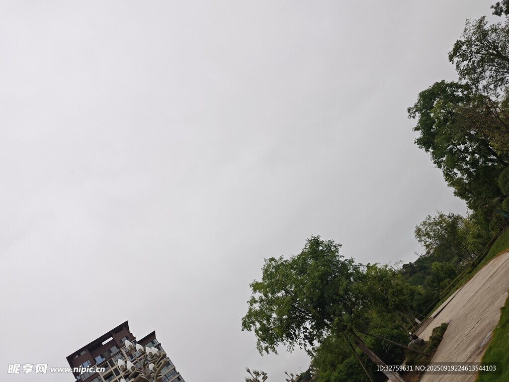 陰天樹林旁的建筑物