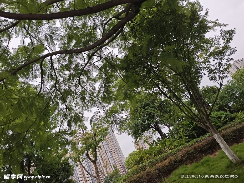 綠樹掩映下的城市景致