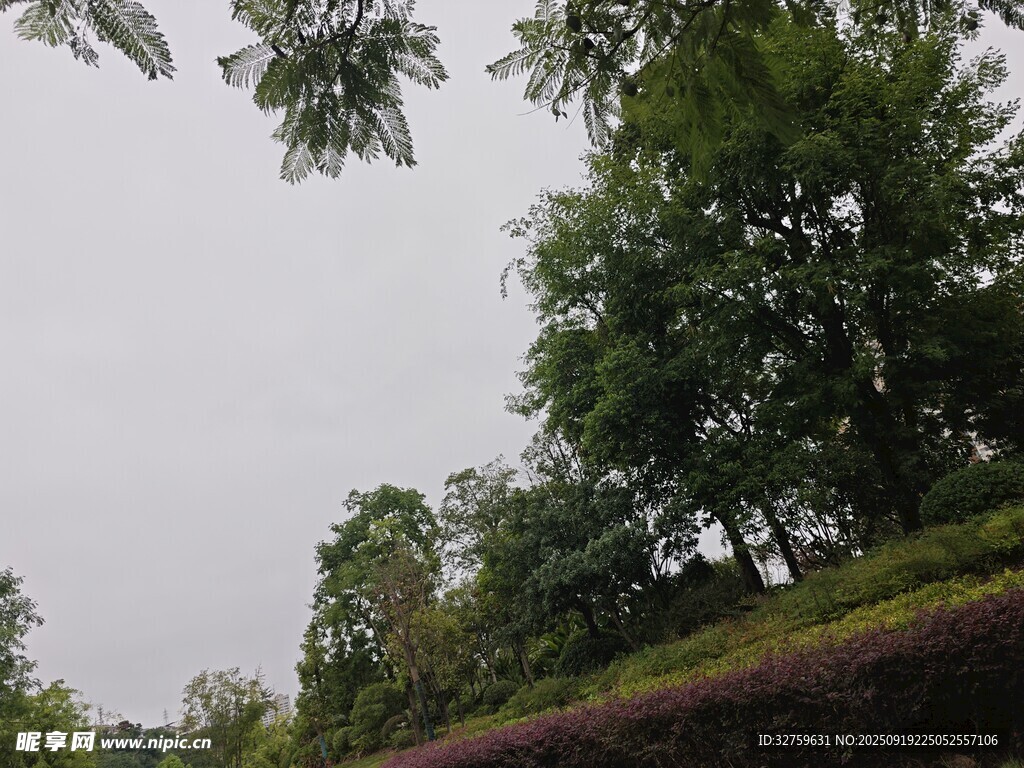 戶外綠樹風(fēng)景