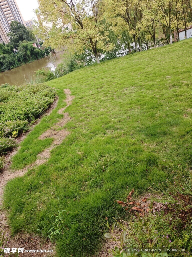 城市中的翠綠草地景觀